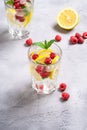 Fresh cold ice water with lemon, raspberry fruits and mint leaf in two faceted glass on stone concrete background Royalty Free Stock Photo