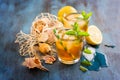 Fresh cold iced tea with mint, ice, lemons and sea shells, refr Royalty Free Stock Photo