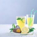 Fresh cold lemonade with mint leaves and cookies Royalty Free Stock Photo