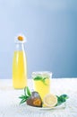 Fresh cold lemonade with mint leaves and cookies Royalty Free Stock Photo