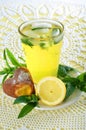 Fresh cold lemonade with mint leaves and cookies Royalty Free Stock Photo