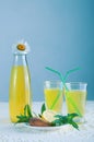 Fresh cold lemonade with mint leaves and cookies Royalty Free Stock Photo