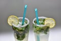 Fresh and cold Mojito cocktail on a white background. Two mojitos Royalty Free Stock Photo