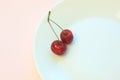 Fresh cold red cherries on white plate on powder pink background close-up. Copy space, minimalistic style Royalty Free Stock Photo