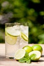 Fresh cold refreshment drink mineral water soda with lime and mint Royalty Free Stock Photo