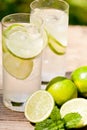 Fresh cold refreshment drink mineral water soda with lime and mint Royalty Free Stock Photo