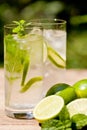 Fresh cold refreshment drink mineral water soda with lime and mint Royalty Free Stock Photo
