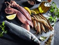 Fresh cold seafood - sea bass, shrimps, calamari Royalty Free Stock Photo