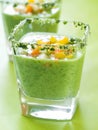 Fresh cold soup (gazpacho) Royalty Free Stock Photo