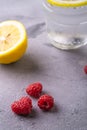 Fresh cold sparkling water drink with lemon, raspberry fruits in glass on stone concrete background, summer diet beverage Royalty Free Stock Photo