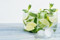 Fresh cold summer beverage gin and tonic with lime, leaf mint, straw, ice cubes, soda on light white background.