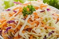 Fresh Coleslaw Salad with green and red cabbage Royalty Free Stock Photo