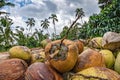 Fresh collected coconut close up detail in Bali