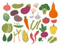 Fresh color vegetables set. Vegetarian farm, broccoli green healthy vegetable. Isolated greens, doodle onion big Royalty Free Stock Photo