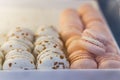 Fresh colored macaroons close-up, sale in coffee shop showcase.