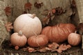 Fresh colored pumpkins group on a wooden dark vintage table.Toned vintage image.