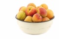 Fresh colorful apricots in an enamel bowl Royalty Free Stock Photo