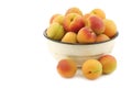 Fresh colorful apricots in an enamel bowl Royalty Free Stock Photo