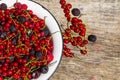 Fresh colorful berries in bowl on rustic wooden table Royalty Free Stock Photo