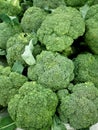 Fresh colorful broccoli Royalty Free Stock Photo