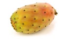 Fresh colorful cactus fruit