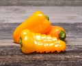 Fresh colorful capsicum Royalty Free Stock Photo