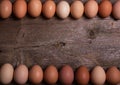 Image of fresh colorful chicken eggs Royalty Free Stock Photo
