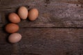 image of fresh colorful chicken eggs Royalty Free Stock Photo