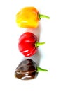 Fresh colorful habanero chili peppers isolated on a white background, national colors of Germany, black, red, gold