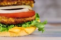 Fresh colorful homemade hamburger on wooden table Royalty Free Stock Photo