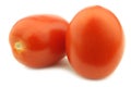 Fresh and colorful italian roma tomatoes Royalty Free Stock Photo