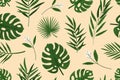 Fresh colorful leaves and branches of tropical plants seamless pattern. Bright jungle print vector flat illustration Royalty Free Stock Photo