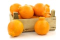 Fresh and colorful Minneola tangelo fruit Royalty Free Stock Photo