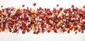 Fresh colorful mixed rose petals on white background.
