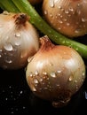 Fresh colorful onion bulbs being rinsed and ready to be used