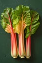 Fresh Colorful Rainbow Swiss Chard Stalks on Dark Green Surface Vibrant Vegetable Ingredients for Healthy Cooking and Nutritious Royalty Free Stock Photo