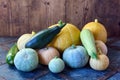 Fresh raw marrows and pumpkins are stacked in pile on wooden table. Royalty Free Stock Photo