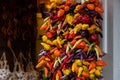 Fresh colorful spicy peppers and paprika hanging on wall on market Royalty Free Stock Photo