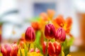 A fresh and colorful spring bouquet with tulips and daffodils Royalty Free Stock Photo