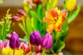 A fresh and colorful spring bouquet with tulips and daffodils Royalty Free Stock Photo