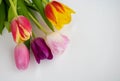 Fresh colorful tulip flowers bouquet on shelf in front of wooden wall. View with copy space Royalty Free Stock Photo