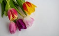 Fresh colorful tulip flowers bouquet on shelf in front of wooden wall. View with copy space Royalty Free Stock Photo