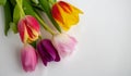 Fresh colorful tulip flowers bouquet on shelf in front of wooden wall. View with copy space. space for text Royalty Free Stock Photo