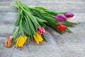 Fresh colorful tulip flowers bouquet on wooden table Royalty Free Stock Photo