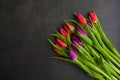 Fresh colorful tulip flowers on dark stone table. Top view, copy space Royalty Free Stock Photo