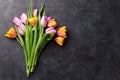 Fresh colorful tulip flowers Royalty Free Stock Photo