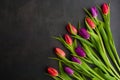 Fresh colorful tulip flowers on dark stone table. Top view, copy space Royalty Free Stock Photo