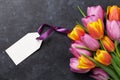 Fresh colorful tulip flowers Royalty Free Stock Photo