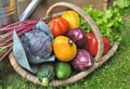 Fresh and colorful vegetables Royalty Free Stock Photo