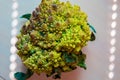 Fresh colorful yellow green cauliflower broccoli Royalty Free Stock Photo